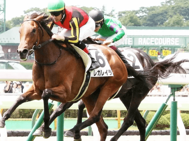 2歳馬ランキング&有力馬を紹介！2023年デビューの注目は？ | 競馬