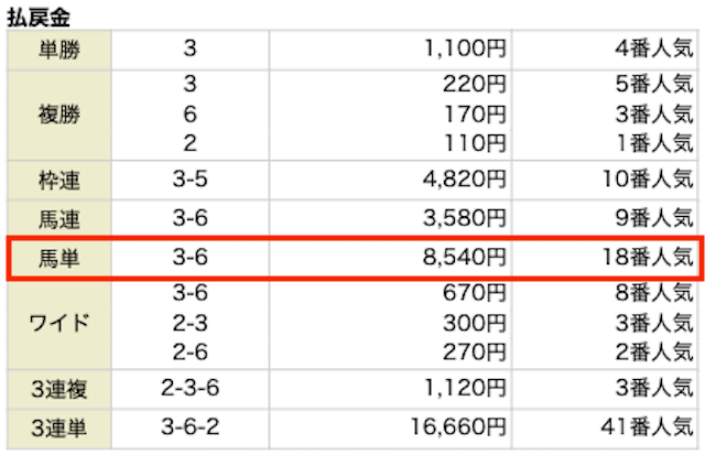 馬単。3−6。8,540円。18番人気