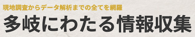 競馬予想サイトディバイン「多岐にわたる情報収集」