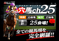 競馬予想サイト「穴馬ch25」